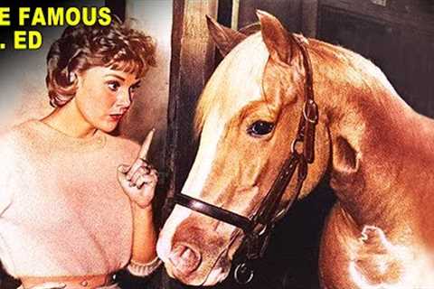 The Strange History of Mr. Ed the Talking Horse