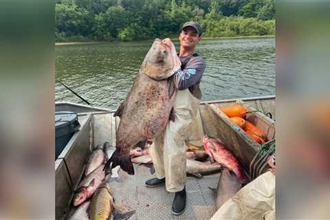 Giant Carp Caught by Commercial Fisherman Would Have Smashed the World Record