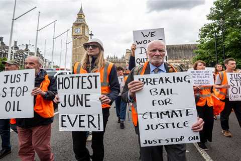 Protesters Recruiting Professors for Autumn Disruption at Universities