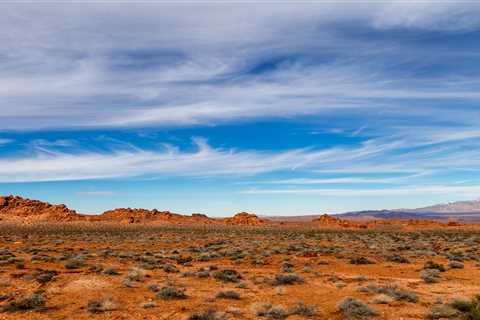 How to find water when you're lost in the desert