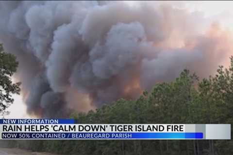 Rain helps ‘calm down’ Tiger Island Fire, now 50% contained