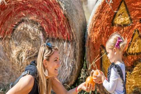 Explore the Best Pumpkin Patches in Oklahoma City for Halloween