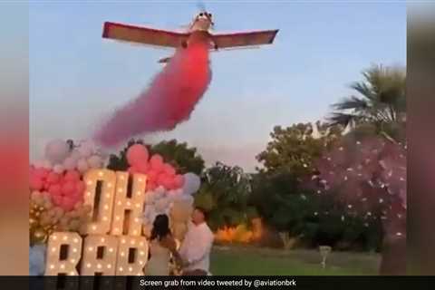 Gender Reveal Party Turns Deadly As Plane Crashes In Front Of Guests In Mexico