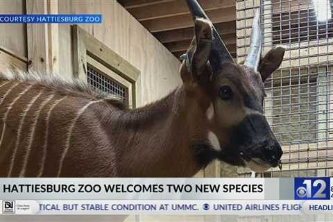 Hattiesburg Zoo welcomes two new species