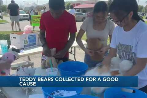 North Bay Civitan Club collects bears for a good cause