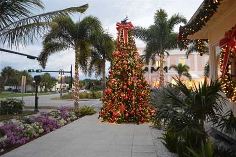 Where To See Christmas Lights in Southwest Florida