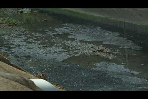 Foul smell linked to Harahan canal sewage leak