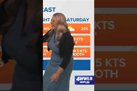 Ouch! Anchors lose it on air after meteorologist bangs head on wall #weather