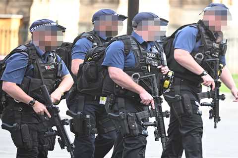 SAS stand down as armed police return to duty in London after 300 cops handed in guns in protest