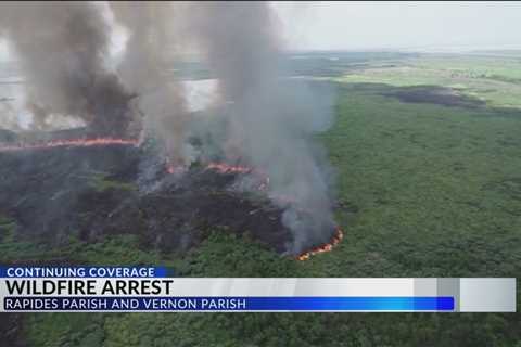 Rapides Parish woman arrested for setting fires; resulted in millions of dollars in damage