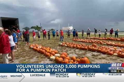 Volunteers unload 5,000 pumpkins for Trinity Episcopal Pumpkin Patch