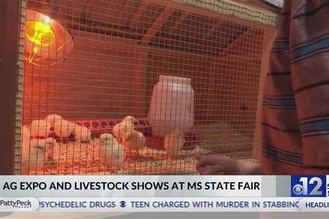 Ag Expo and Livestock shows held at Mississippi State Fair