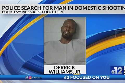 Vicksburg police search for man in domestic shooting