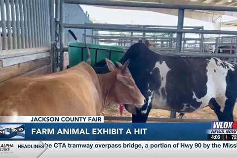 Farm animal exhibit a hit at the Jackson County Fair