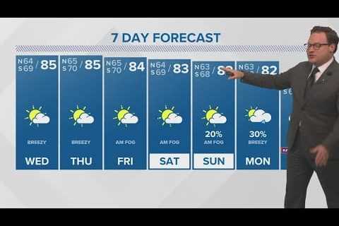 Warm and humid through the weekend