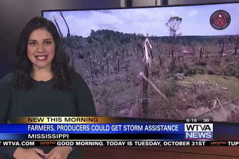 Farmers could get storm assistance for June storms