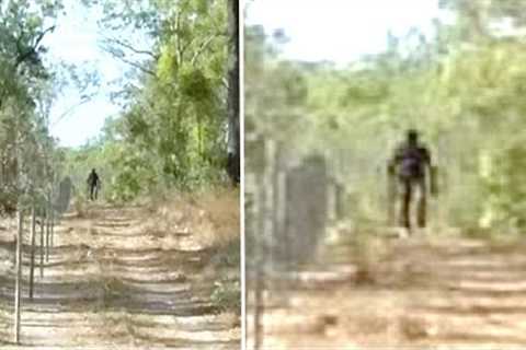 This Explorer In The Australian Outback Encountered Something Big While Hiking In This Forest