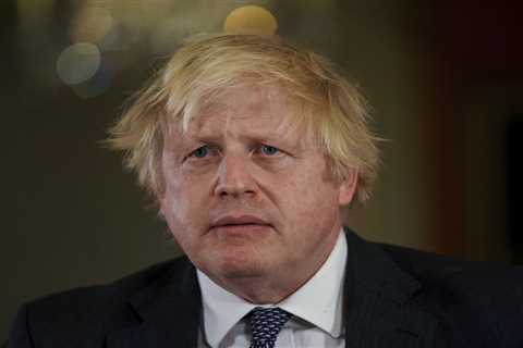 Boris Johnson's Bizarre Covid Cure Question Revealed in Inquiry