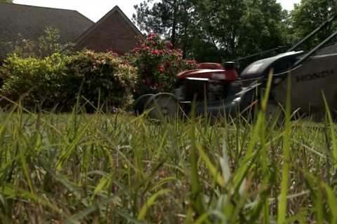 Lawn and tree prep before wintertime snow