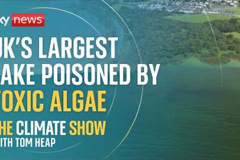 Who’s to blame for killing Lough Neagh? | Climate Show with Tom Heap