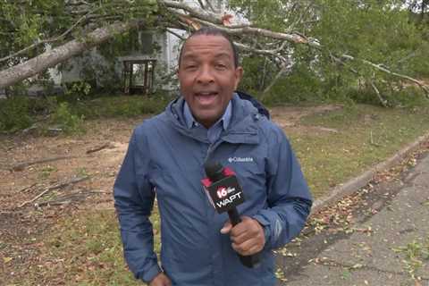 Storms bring down trees in Hazlehurst