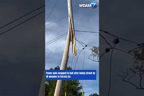 Power pole snapped in half after being struck by 18-wheeler in Forrest Co #news #shorts