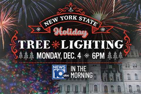 NYS Holiday Tree Lighting ceremony postponed due to weather