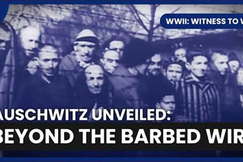 Auschwitz Horror Revealed - WWII: Witness to War - S01 EP11 - History Documentary