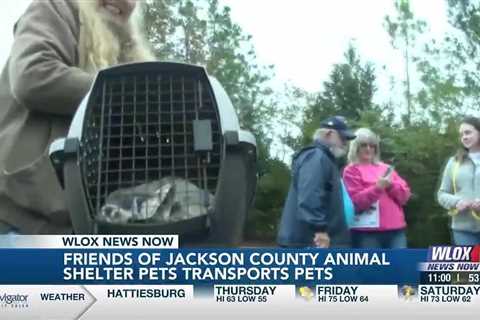 Friends of Jackson Co. Animal Shelter Pets transports pets north