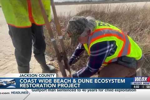 Phase one underway for Coast Wide Beach & Dune Ecosystem Restoration Project