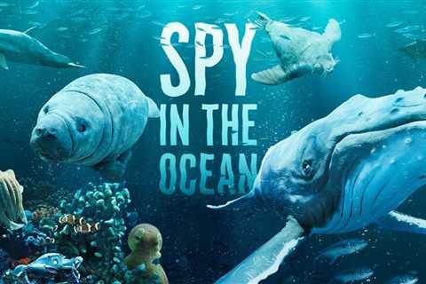 Spy in the Ocean, A Nature Miniseries Season 1: How Many Episodes and When Can You Watch?