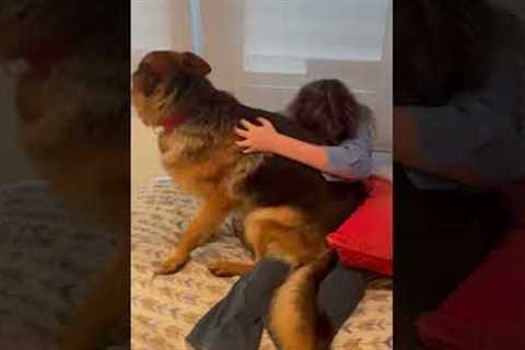 Dog Reunites With One Of His Favorite People