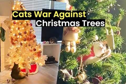 Cats War Against Christmas Trees