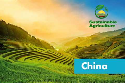 Sustainable Agriculture in China: Cultivating a Greener Future