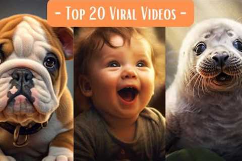 TOP 20 Best Viral Videos | The Best Of The Internet