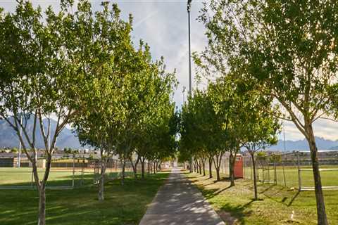 Parking at the Veterans Memorial in Northern Las Vegas, NV