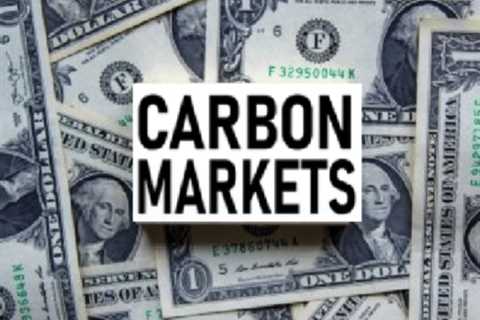 Carbon Prices and Voluntary Carbon Markets Faced Major Declines in 2023, What’s Next for 2024?