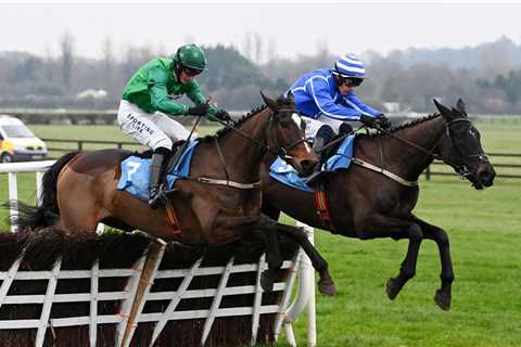 Lawlor’s Of Naas Novice Hurdle: Readin Tommy Wrong hits right note in 16/1 shock over Ile..