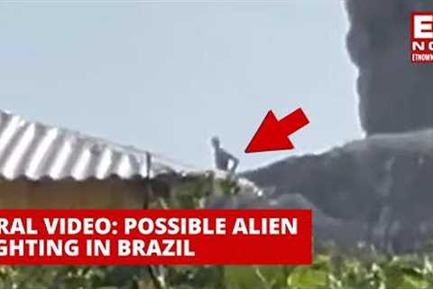 Viral Video | ''Alien'' Spotted In Brazil? What We Know About The Incident | World News