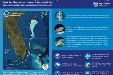 Scientists Map Largest Deep-Sea Coral Reef Off Atlantic Coast