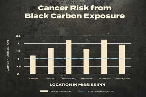 Dr. Courtney Roper discusses black carbon health risks in communities