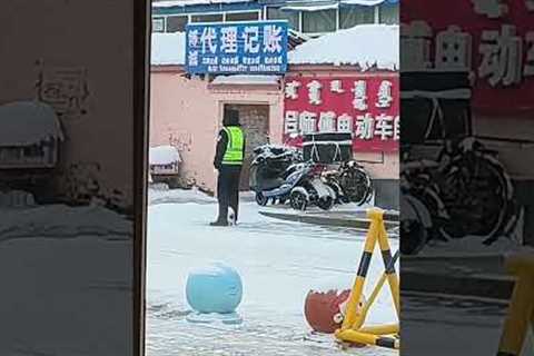 Cat joins traffic policeman patrolling