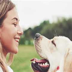 Pet-Friendly Treatment Centers in Phoenix, AZ: A Guide for Pet Owners