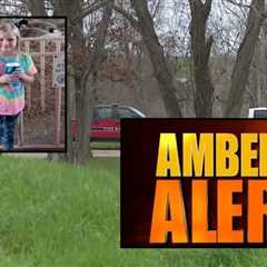Houston-area girl missing from school bus stop, Persons of interest under investigation. Amber A…