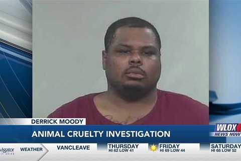 Man accused of animal cruelty charges