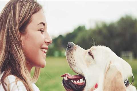 Pet-Friendly Treatment Centers in Phoenix, AZ: A Guide for Pet Owners