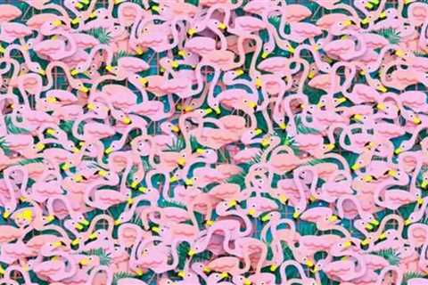 No one can count how many flamingos there are…but those with a high IQ can see the ballet dancer..