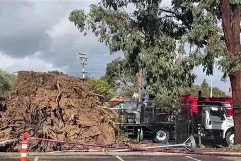 Peninsula residents wait for power to come back after storm – NBC Bay Area