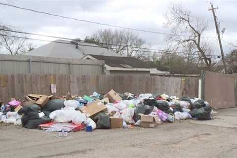 ‘Nobody deserves to be living like this:’ Residents fed up with trash piling up at SE Houston ap…