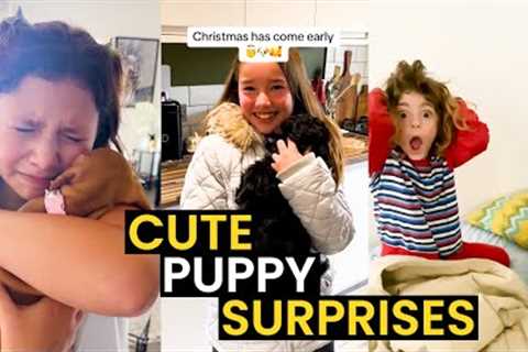 New Puppy Surprise Compilation | Heartwarming Surprise Moments